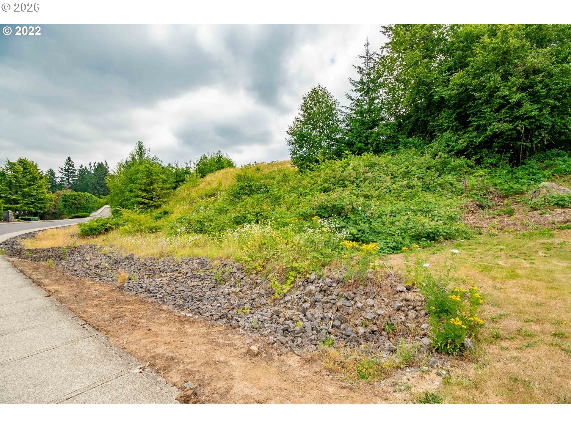317 Northeast Bassel Road Vancouver, WA 98685 - Photo 9 of 21 a view of a yard with plants and a bench