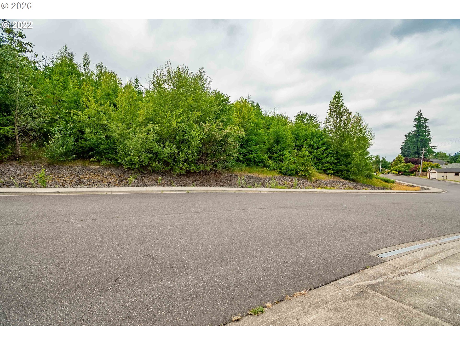 317 Northeast Bassel Road Vancouver, WA 98685 - Photo 10 of 21 a view of a street