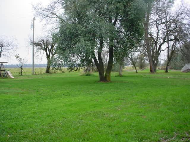 12977 Tamera Way Redding, CA 96003 - Photo 2 of 2 Back of Property