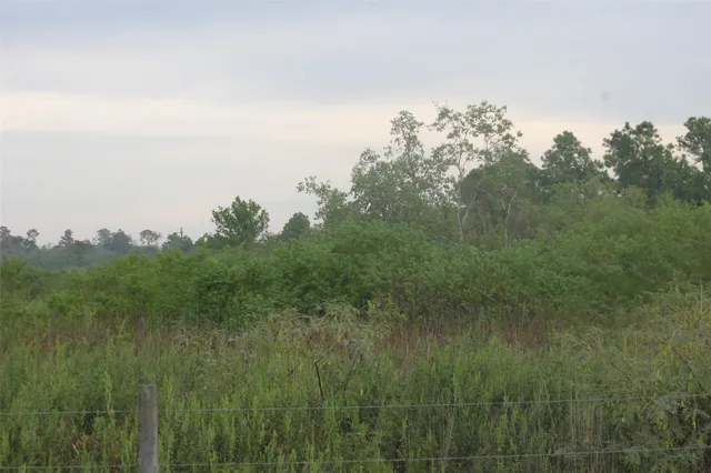 a view of a field of grass and trees