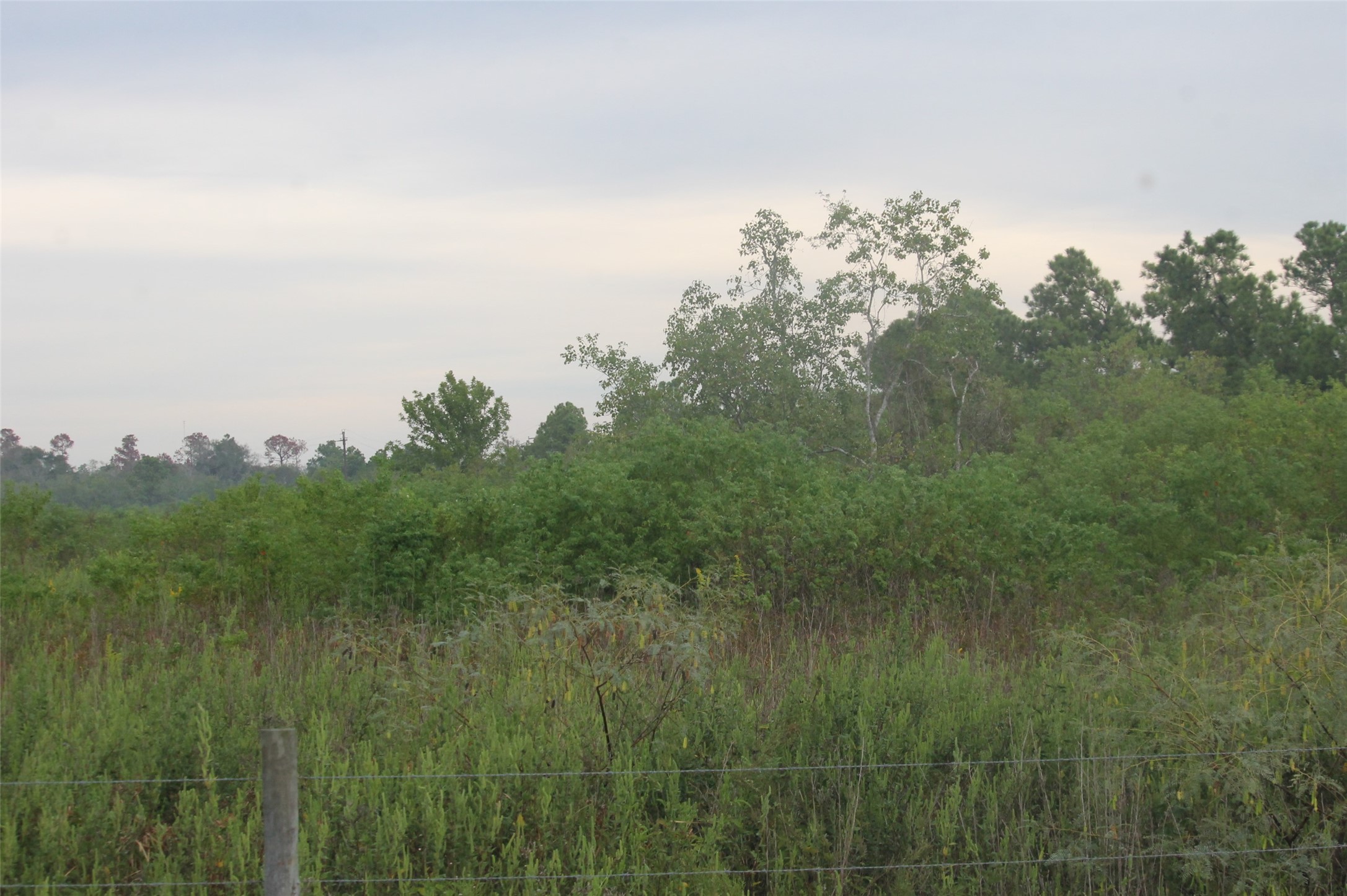 0 Englin Winnie, TX 77665 - Photo 2 of 9 a view of a field of grass and trees