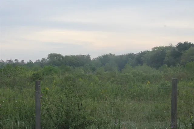 a view of a field of grass and trees