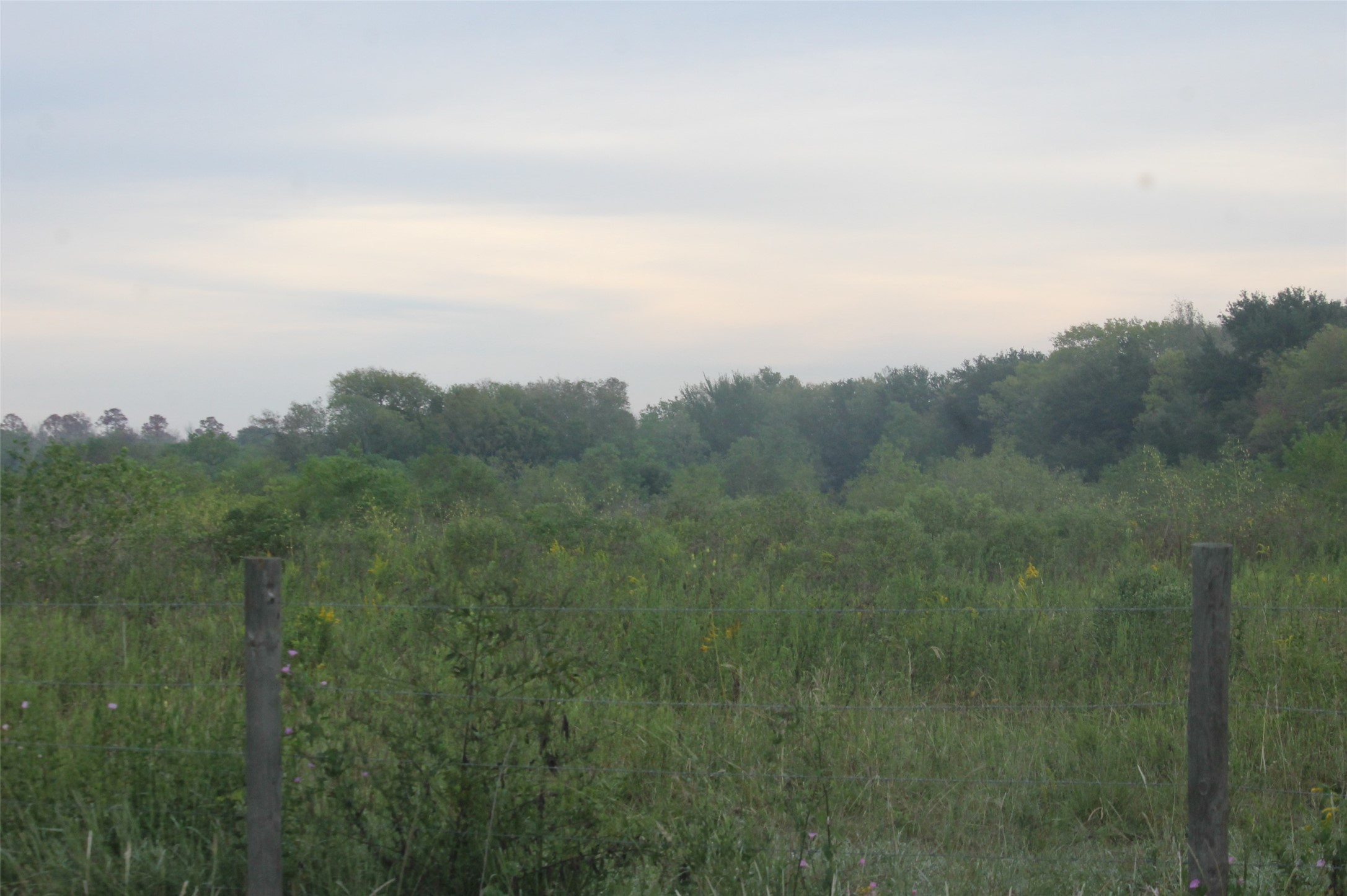 0 Englin Winnie, TX 77665 - Photo 4 of 9 a view of a field of grass and trees