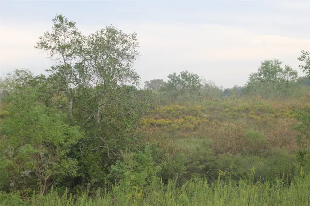 a view of a field of grass and trees