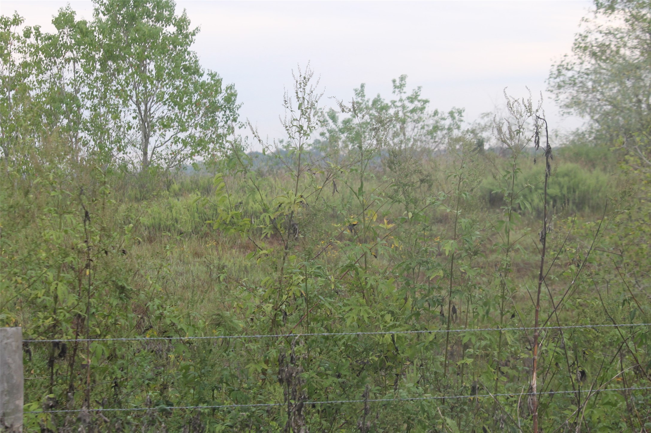 0 Englin Winnie, TX 77665 - Photo 8 of 9 a view of a green field
