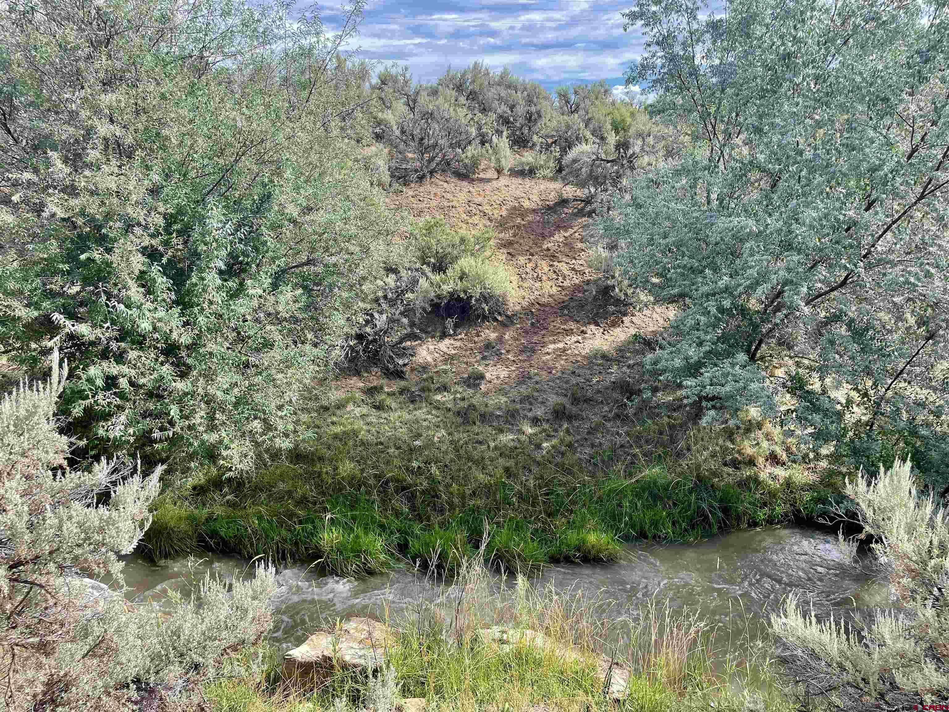 12 North Broadway Cortez, CO 81321 - Photo 6 of 18 a view of a lake with lots of trees