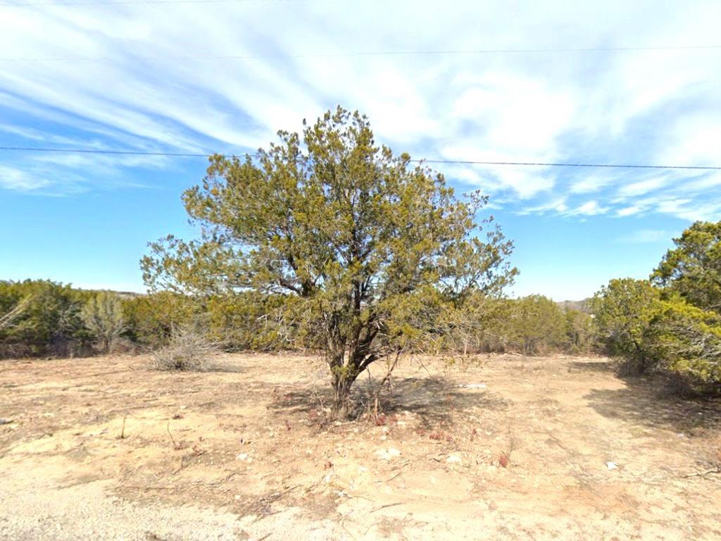 1420 Ridgeview Circle Granbury, TX 76048 - Photo 2 of 7