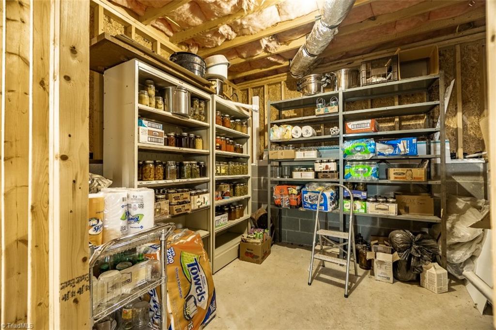 1065 Devil Den Road Danbury, NC 27016 - Photo 48 of 50 Storage in the basement