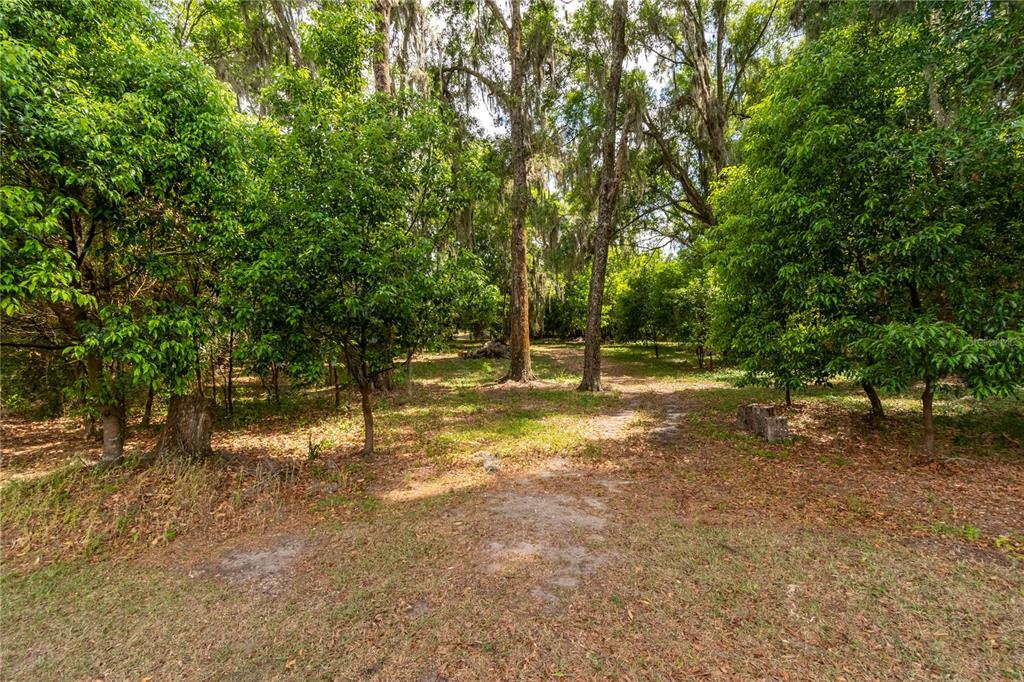5021 Northwest 101st St Road Ocala, FL 34482 - Photo 64 of 85