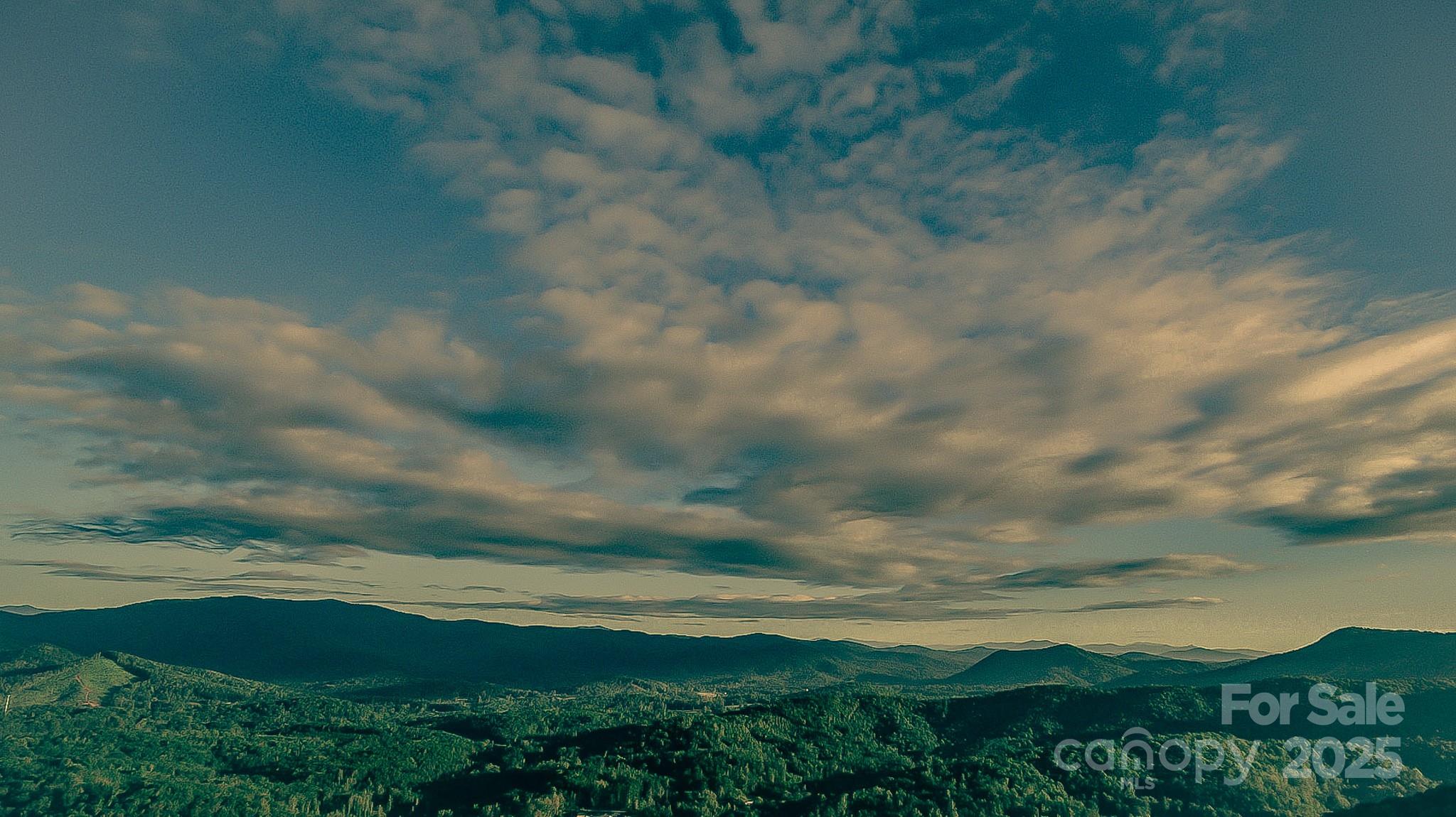 0 The Fls Road Union Mills, NC 28167 - Photo 17 of 27