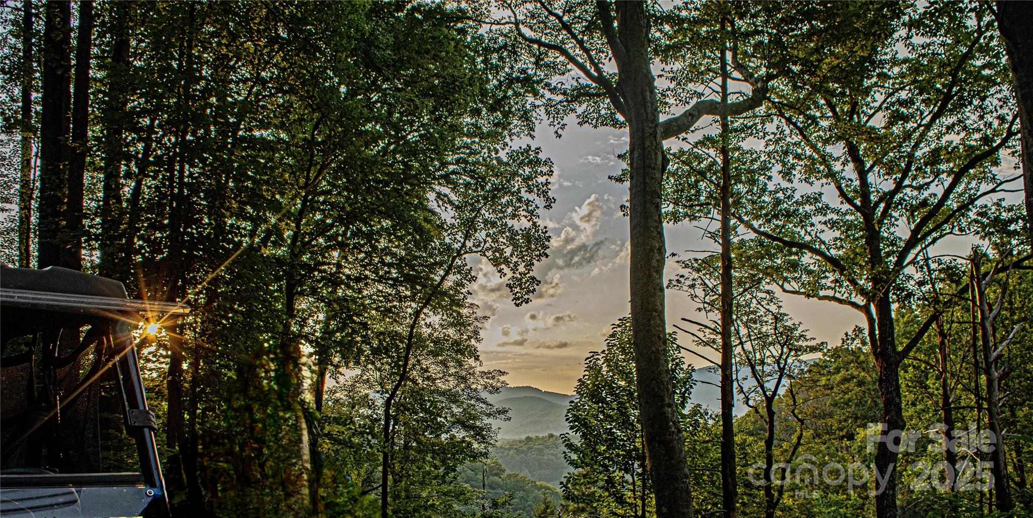 0 The Fls Road Union Mills, NC 28167 - Photo 8 of 27