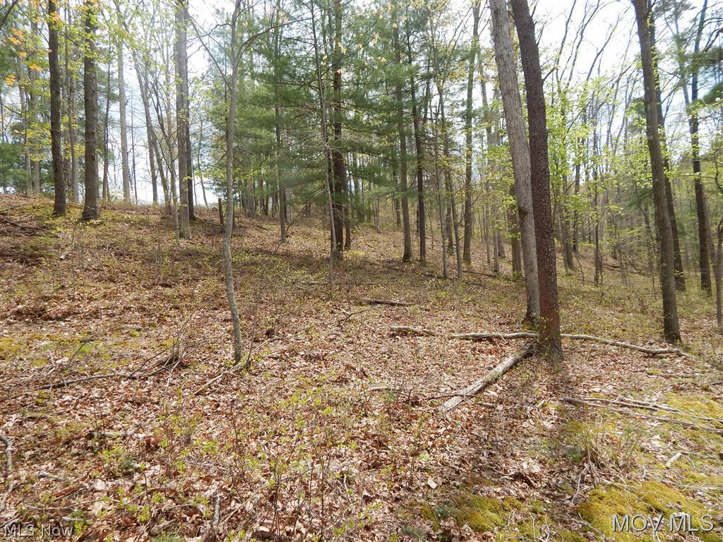 0 Union Ridge Ellenboro, WV 26346 - Photo 22 of 24