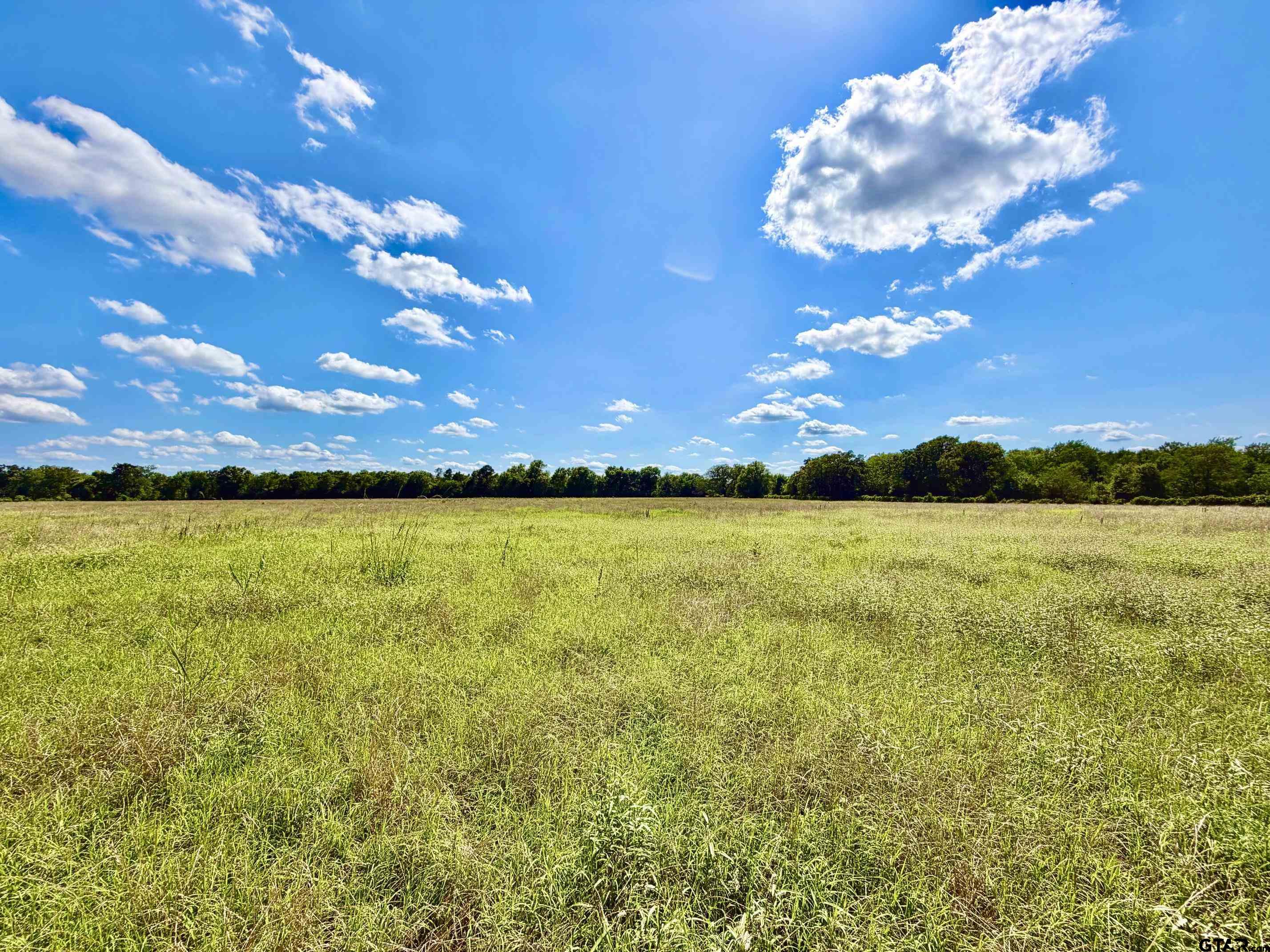 Tbd Cooper Settlement Road Crockett, TX 75835 - Photo 6 of 11