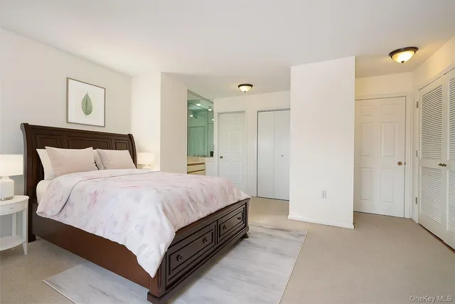 a bedroom with a bed and closet