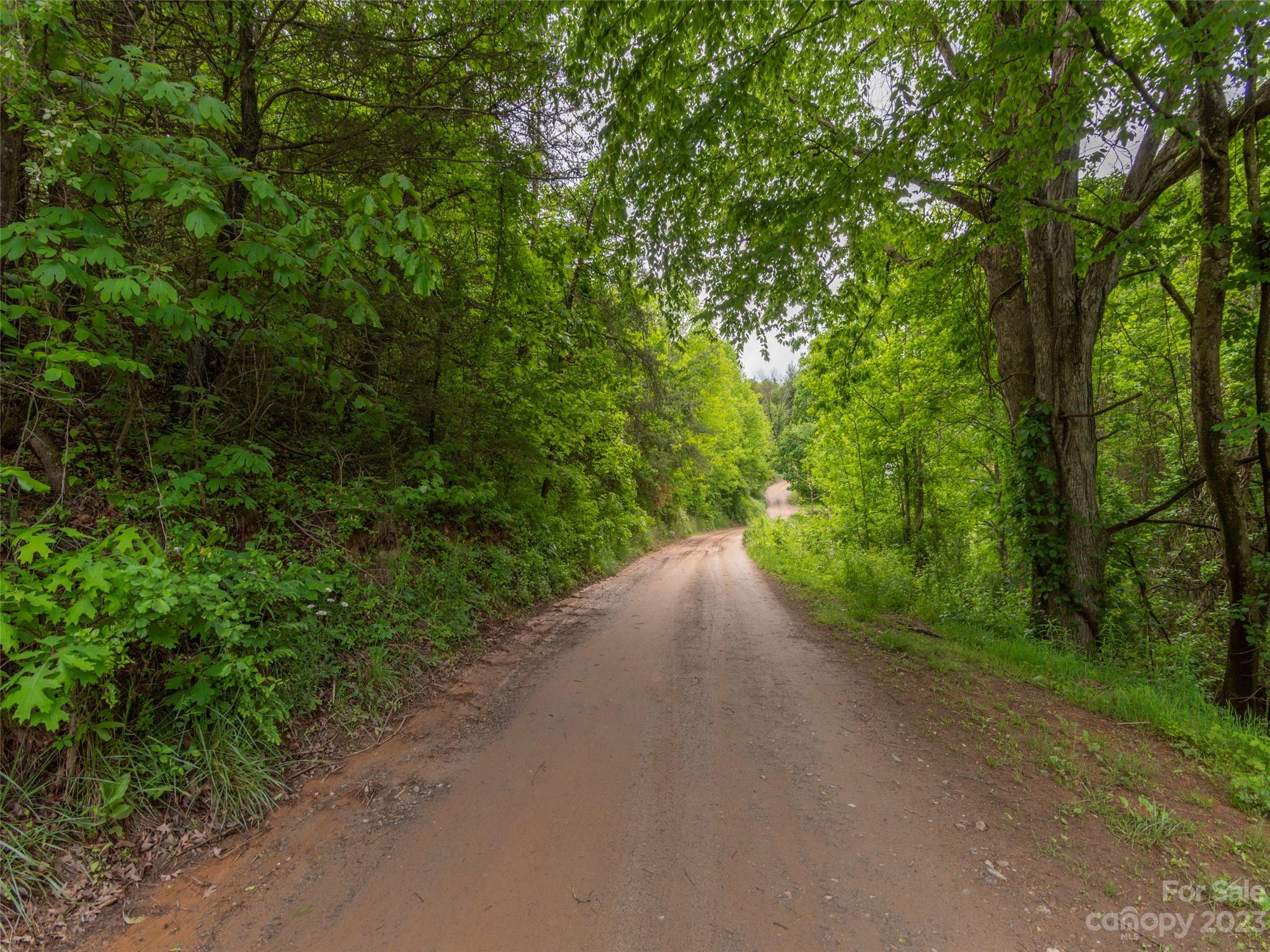 0 Richards Ridge Canton, NC 28716 - Photo 3 of 5 a view of a road with a yard