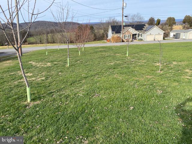 Rear fruit trees