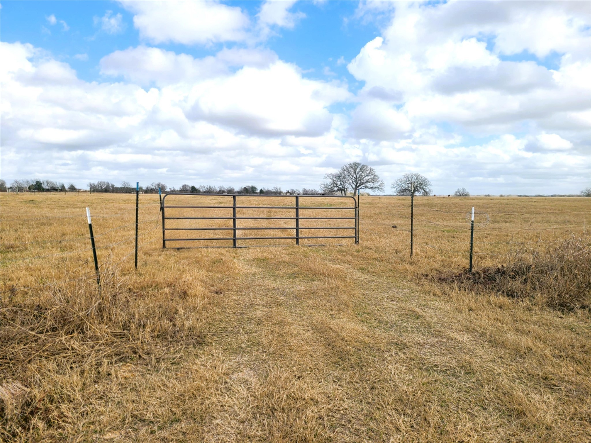 2245 Oakland Road Schulenburg, TX 78956 - Photo 2 of 8