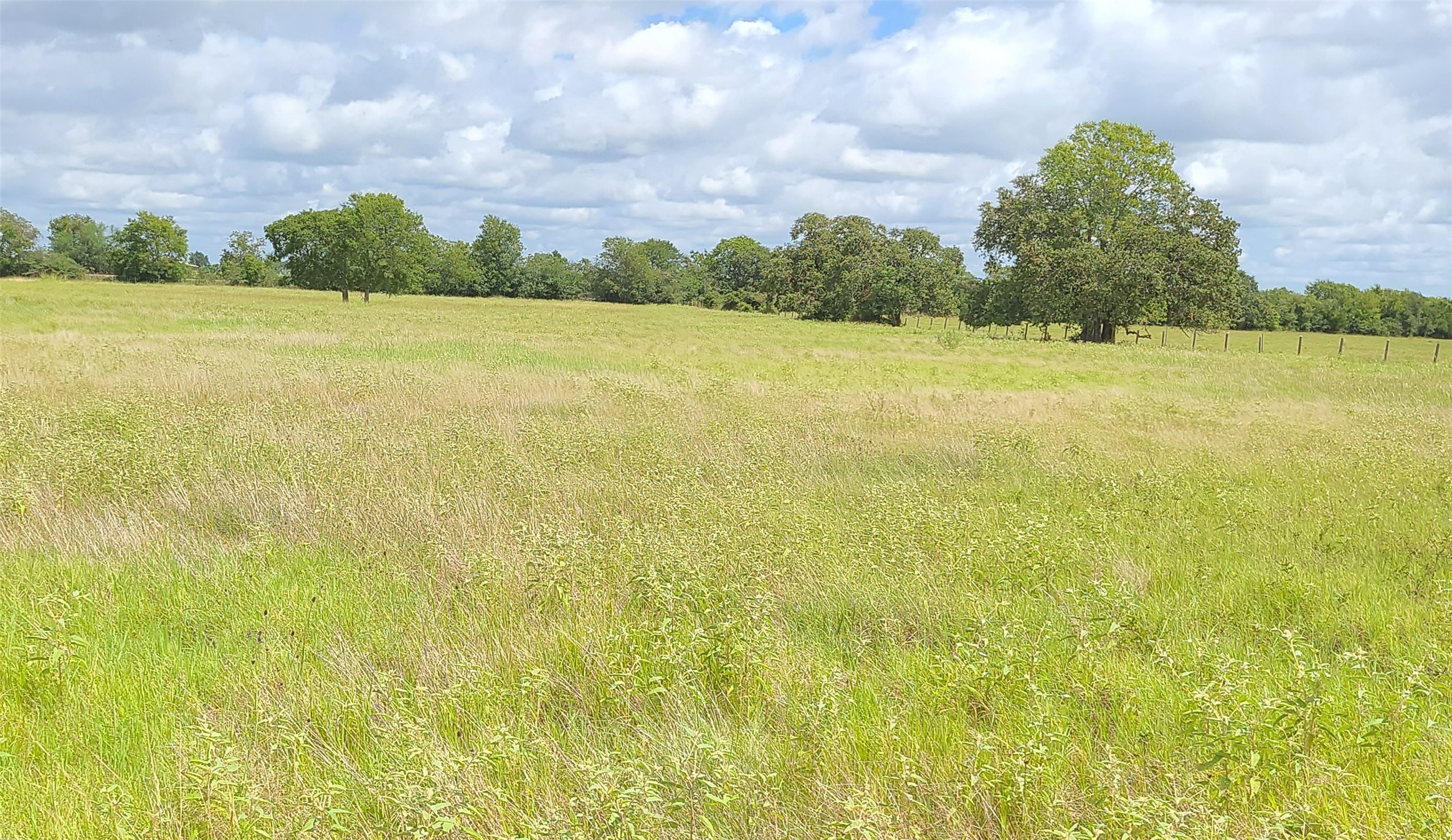 2245 Oakland Road Schulenburg, TX 78956 - Photo 4 of 8