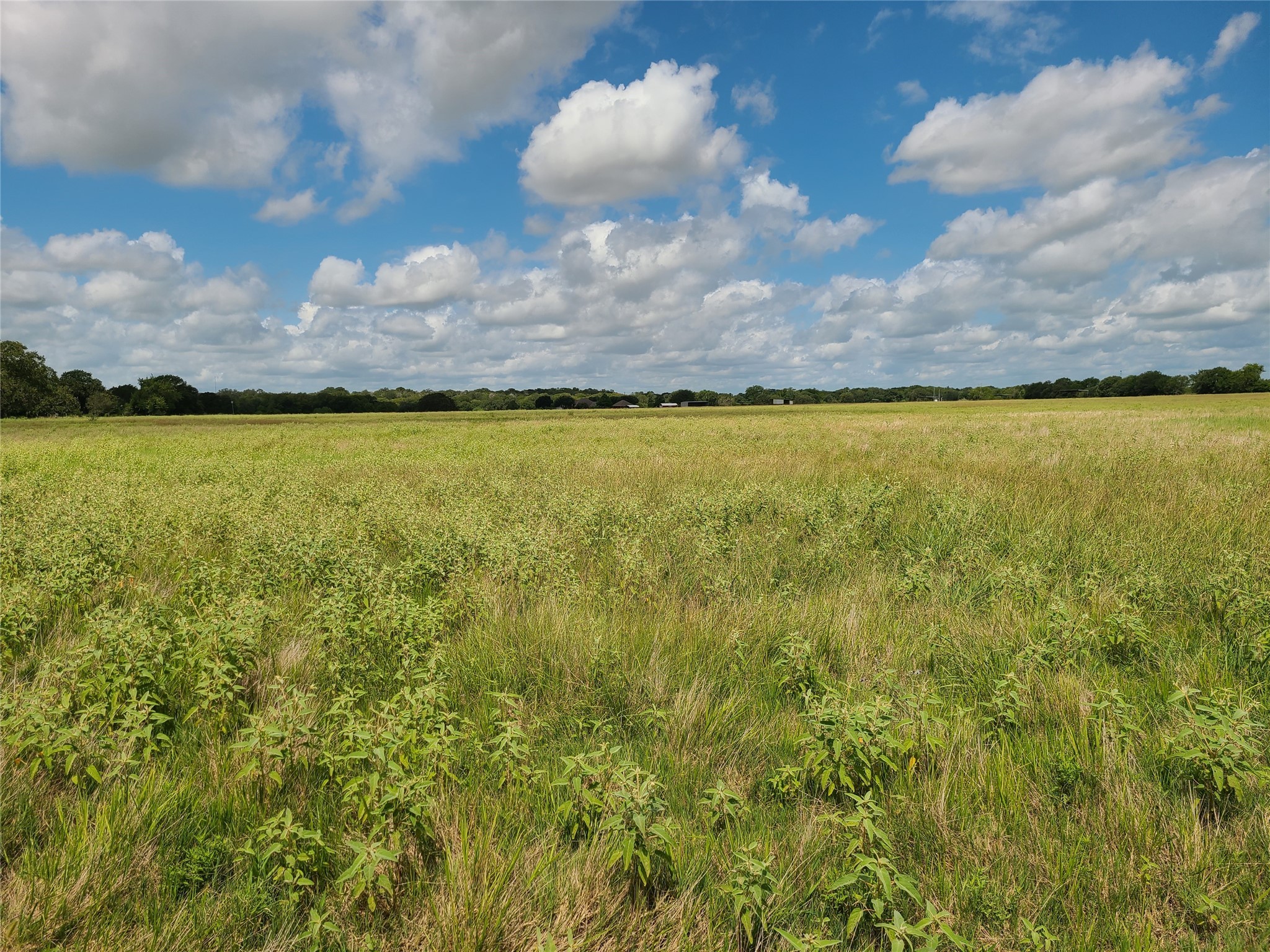 2245 Oakland Road Schulenburg, TX 78956 - Photo 5 of 8