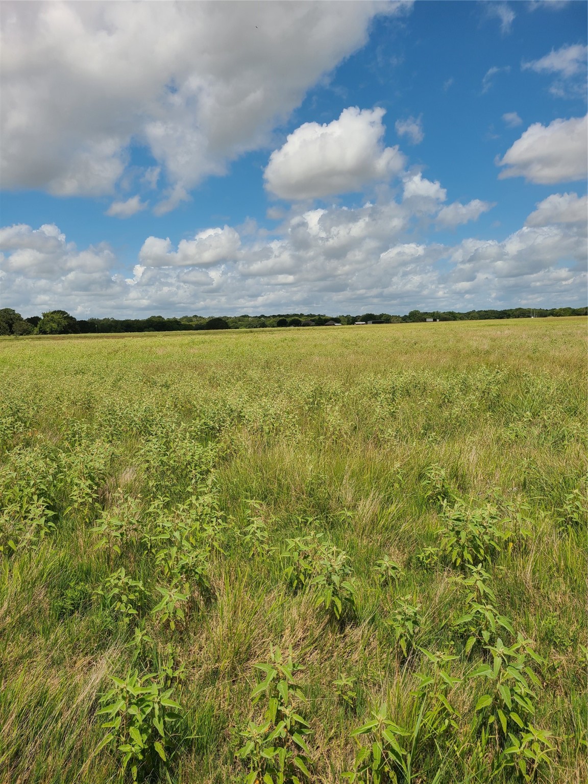 2245 Oakland Road Schulenburg, TX 78956 - Photo 6 of 8