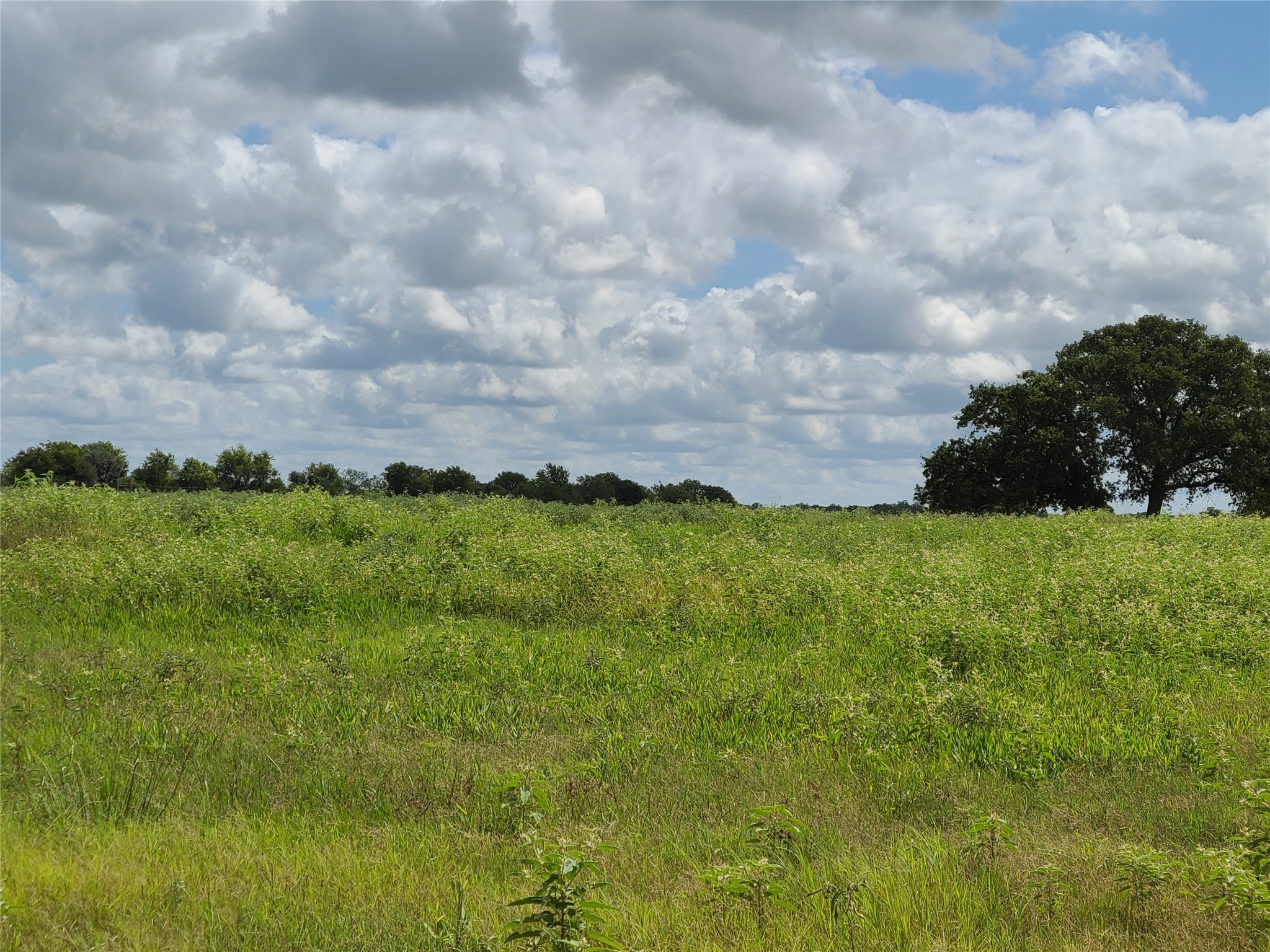 2245 Oakland Road Schulenburg, TX 78956 - Photo 8 of 8