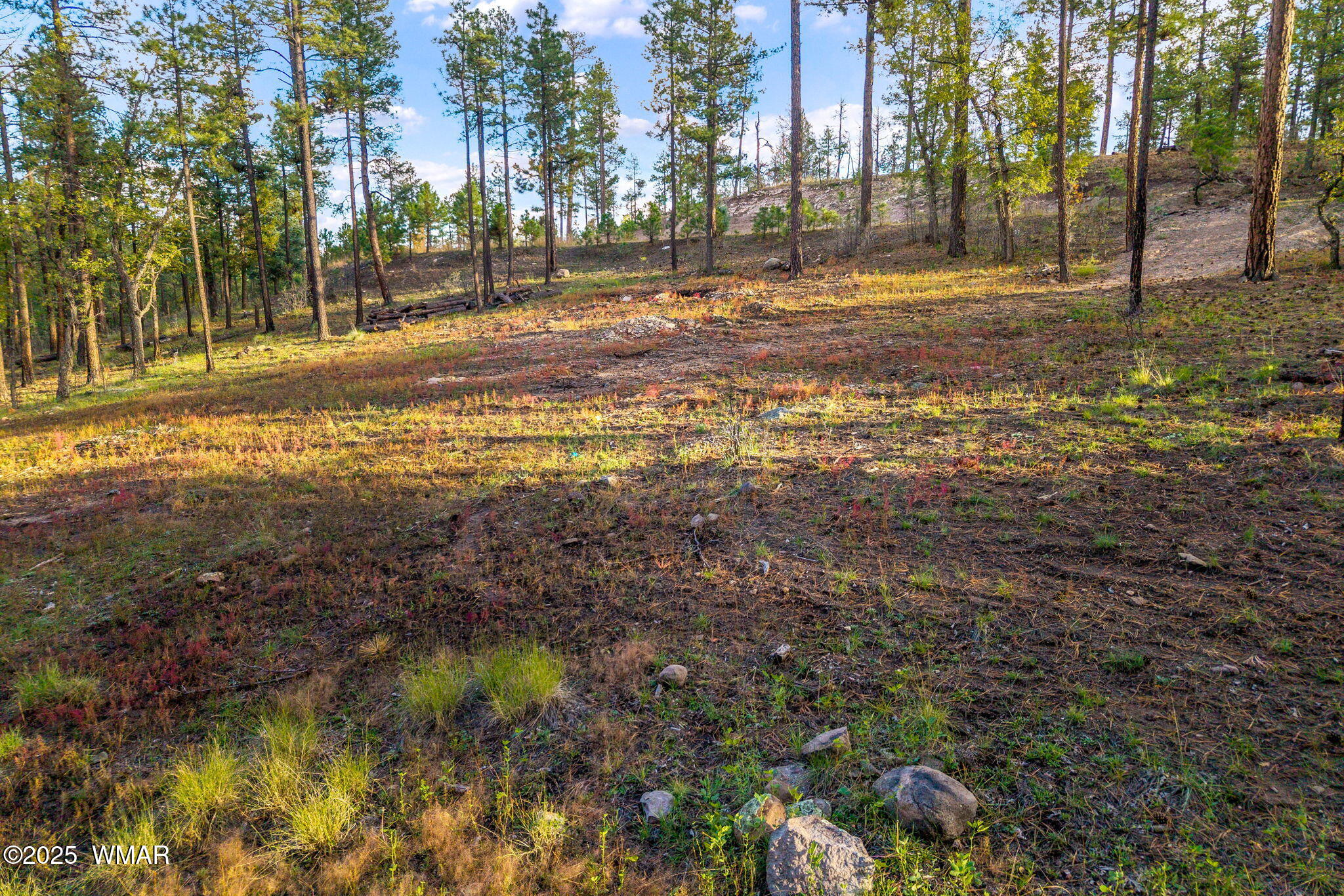 7 Eric Lane Alpine, AZ 85920 - Photo 8 of 17