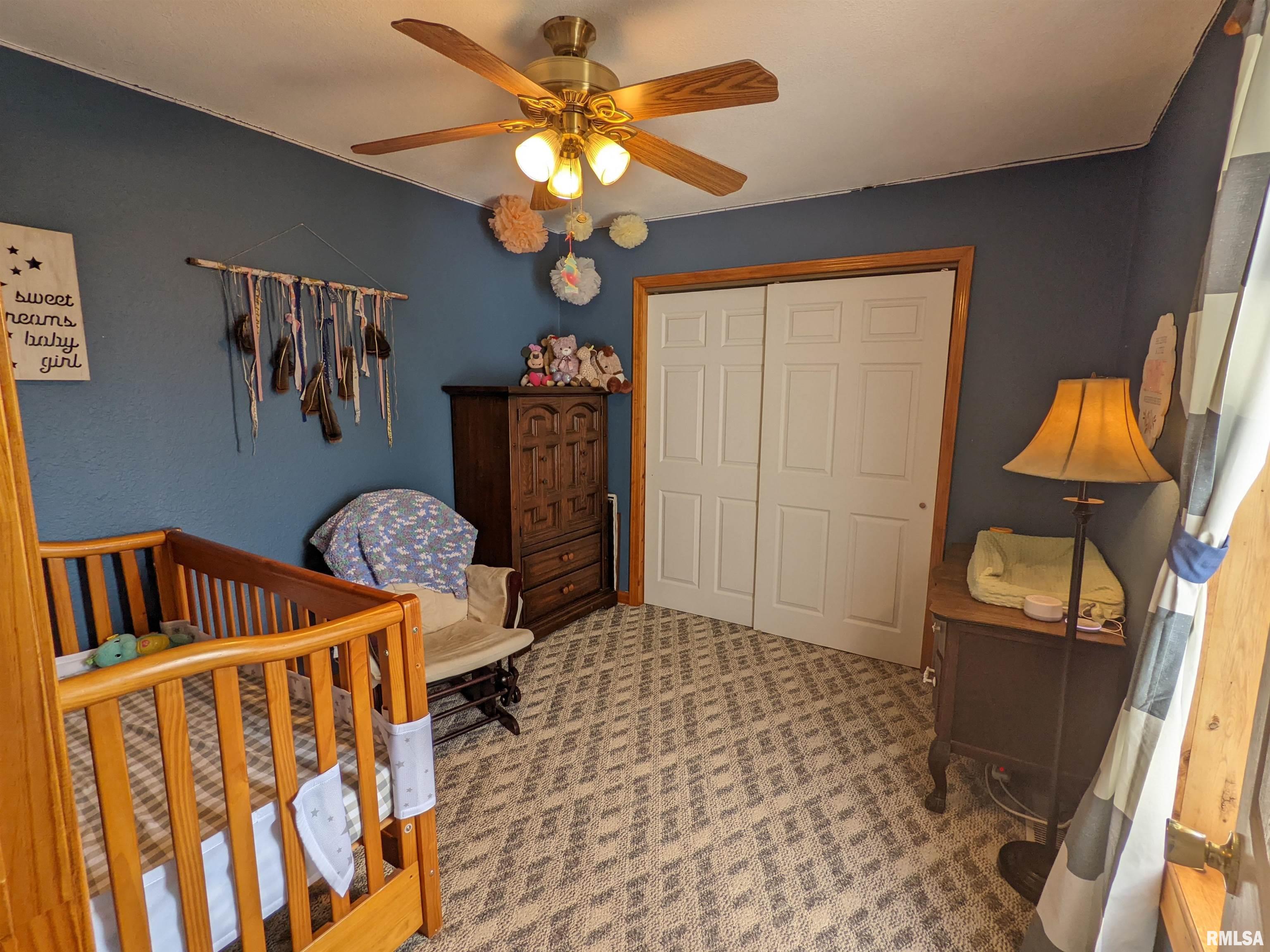 14 Meininger Road Vergennes, IL 62994 - Photo 6 of 20