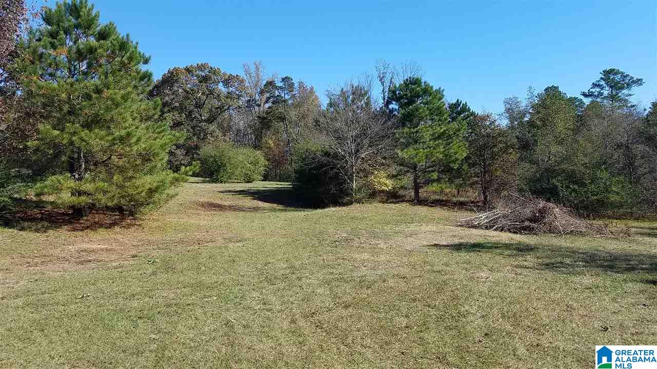 298 Bowerman Road Blountsville, AL 35031 - Photo 20 of 30