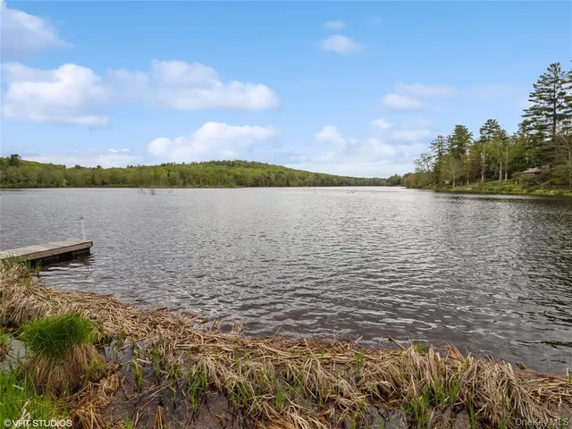 $293,000 | 23 Woodland Way, Smallwood, NY 12778