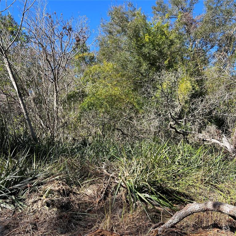 21513 Durden Road Dade City, FL 33523 - Photo 2 of 3