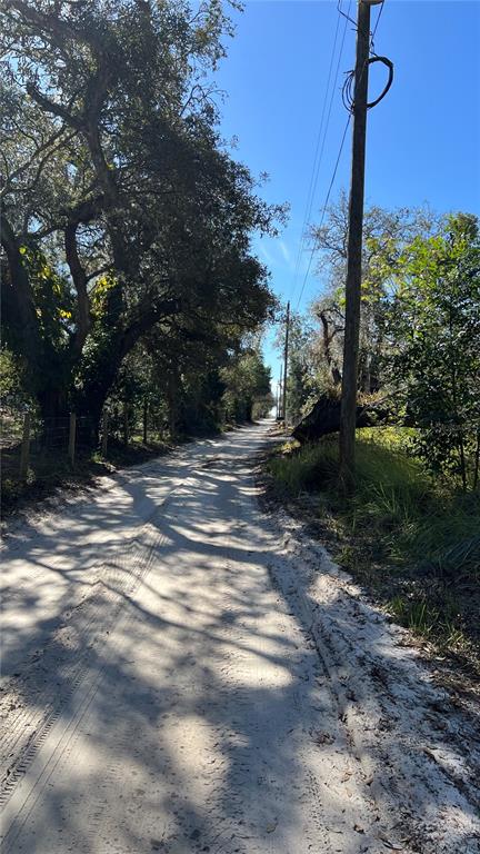 21513 Durden Road Dade City, FL 33523 - Photo 3 of 3