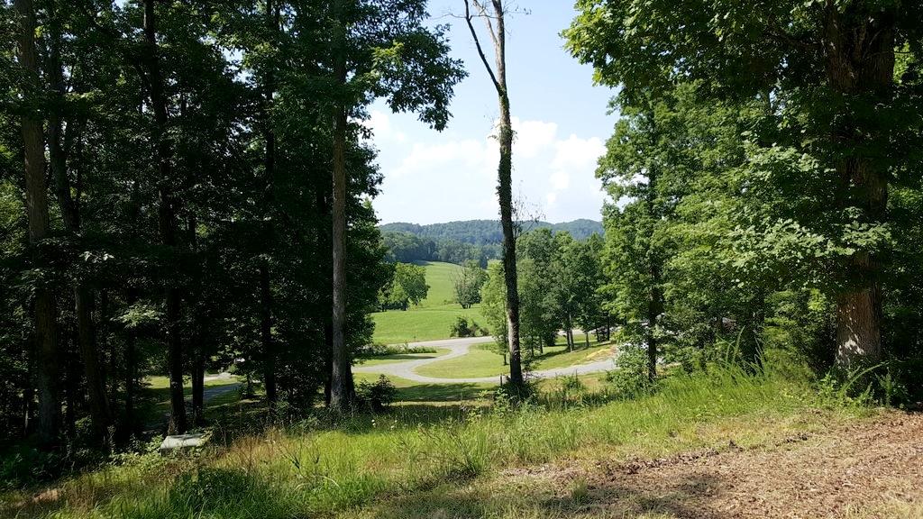 19000 North Nopone Valley Road Decatur, TN 37322 - Photo 8 of 26 20180712_164709