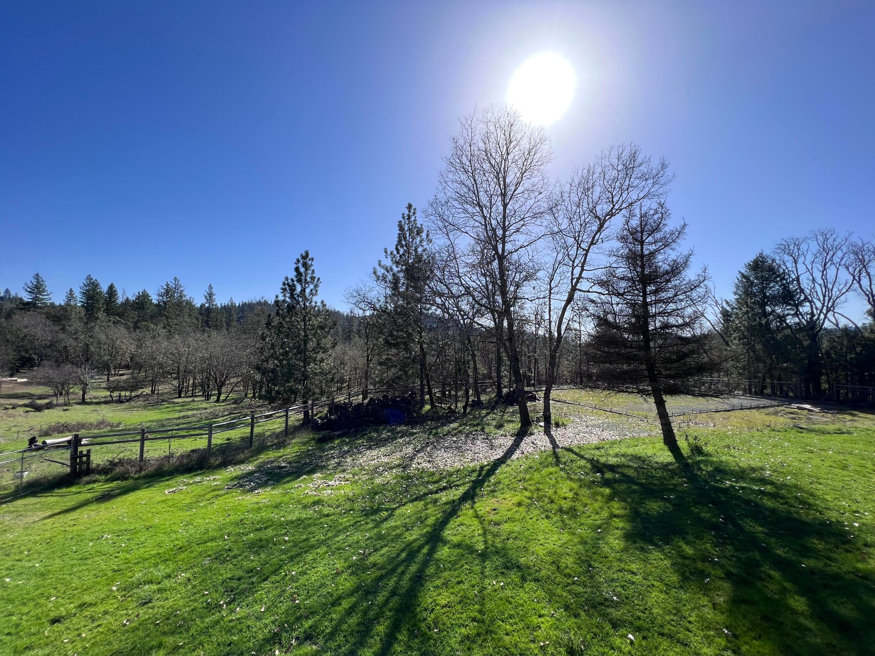 5525 Tunnel Loop Road Grants Pass, OR 97526 - Photo 38 of 65 31.3 landscape