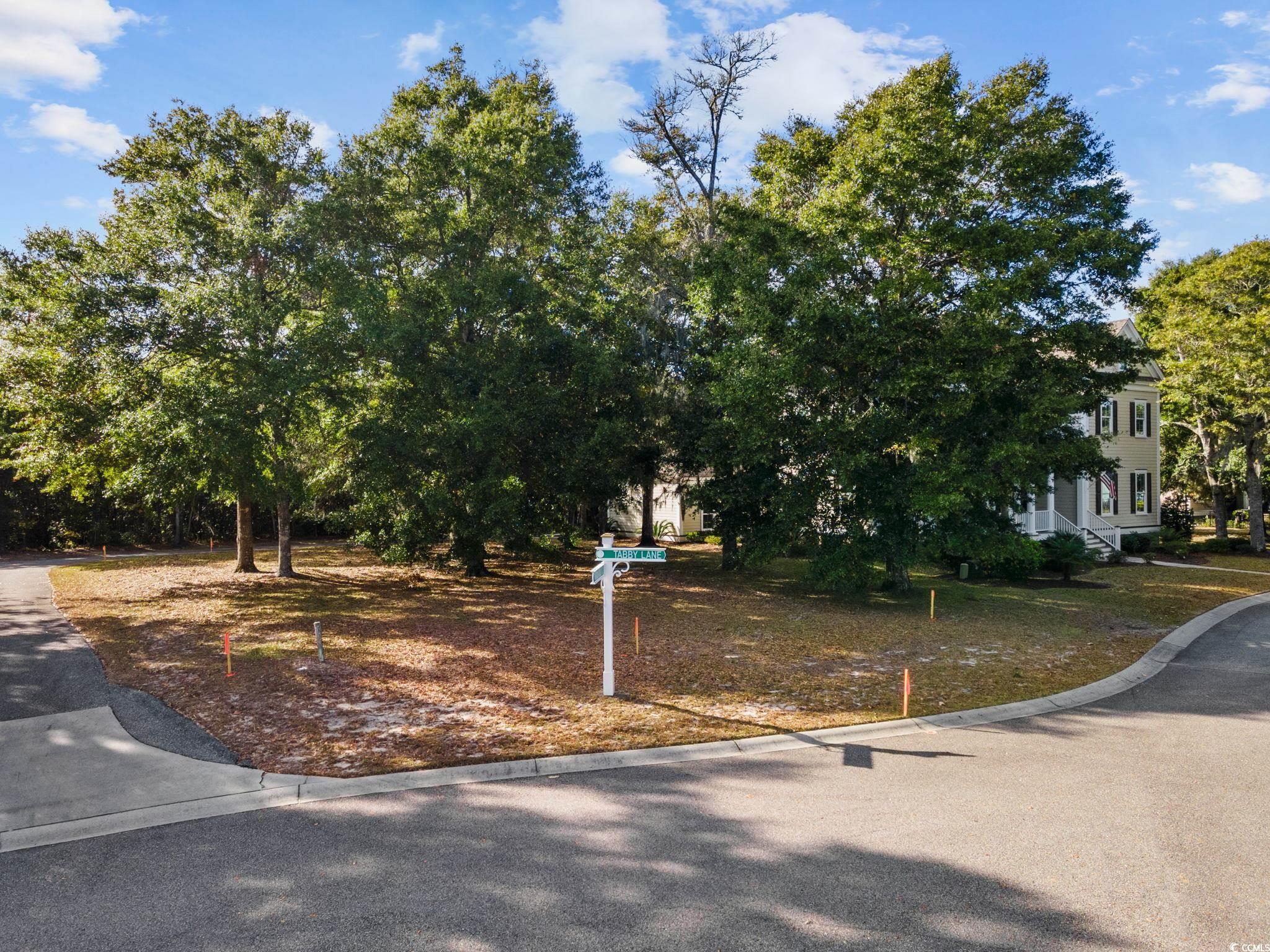 1000 Tarpon Pond Road North Myrtle Beach, SC 29582 - Photo 2 of 16 Gallery Image 2