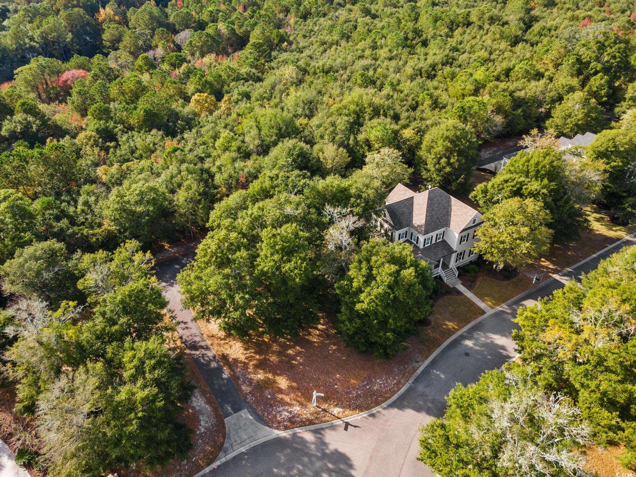1000 Tarpon Pond Road North Myrtle Beach, SC 29582 - Photo 5 of 16 Gallery Image 5