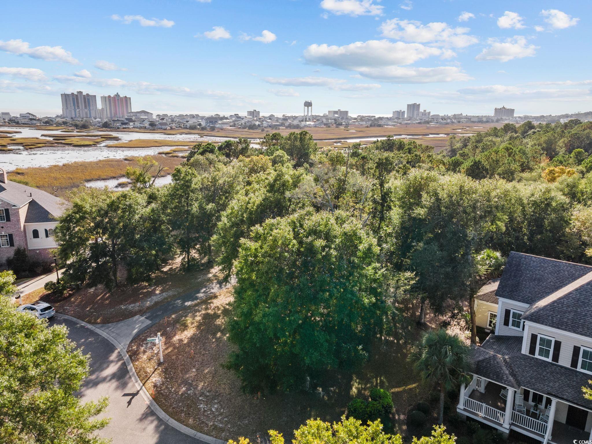 1000 Tarpon Pond Road North Myrtle Beach, SC 29582 - Photo 8 of 16 Gallery Image 8