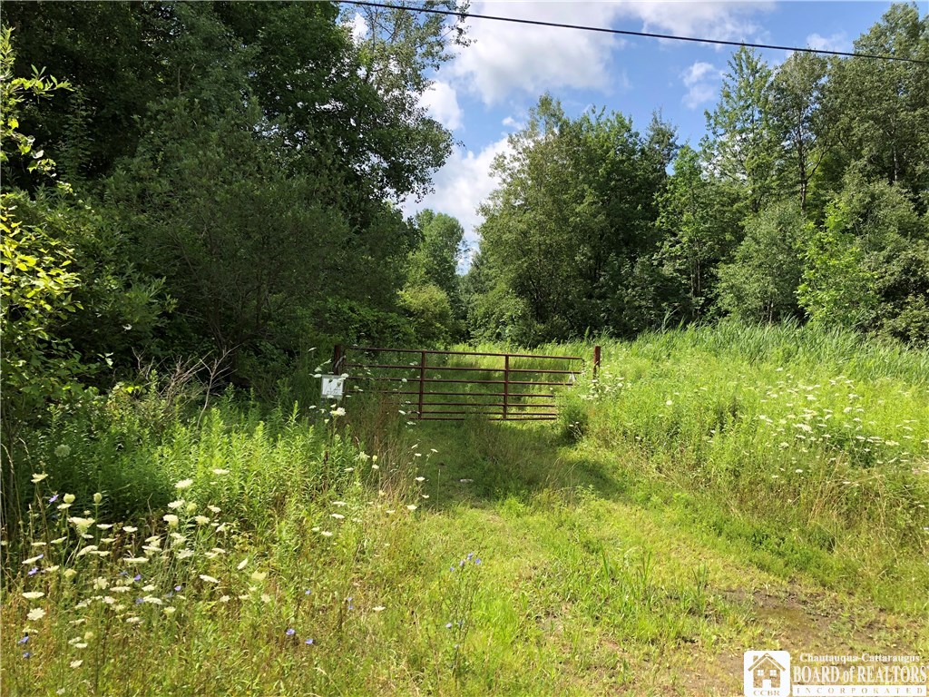 0 Salisbury Road South Jamestown, NY 14701 - Photo 1 of 1