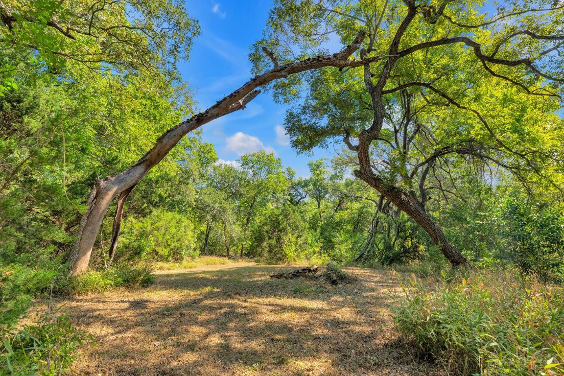 2105 Sam Bass Road Round Rock, TX 78681 - Photo 32 of 40 a backyard of a house with lots of green space