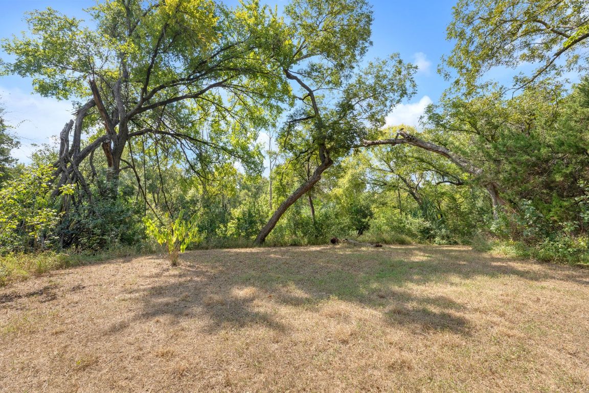 2105 Sam Bass Road Round Rock, TX 78681 - Photo 34 of 40 a view of a yard with a tree