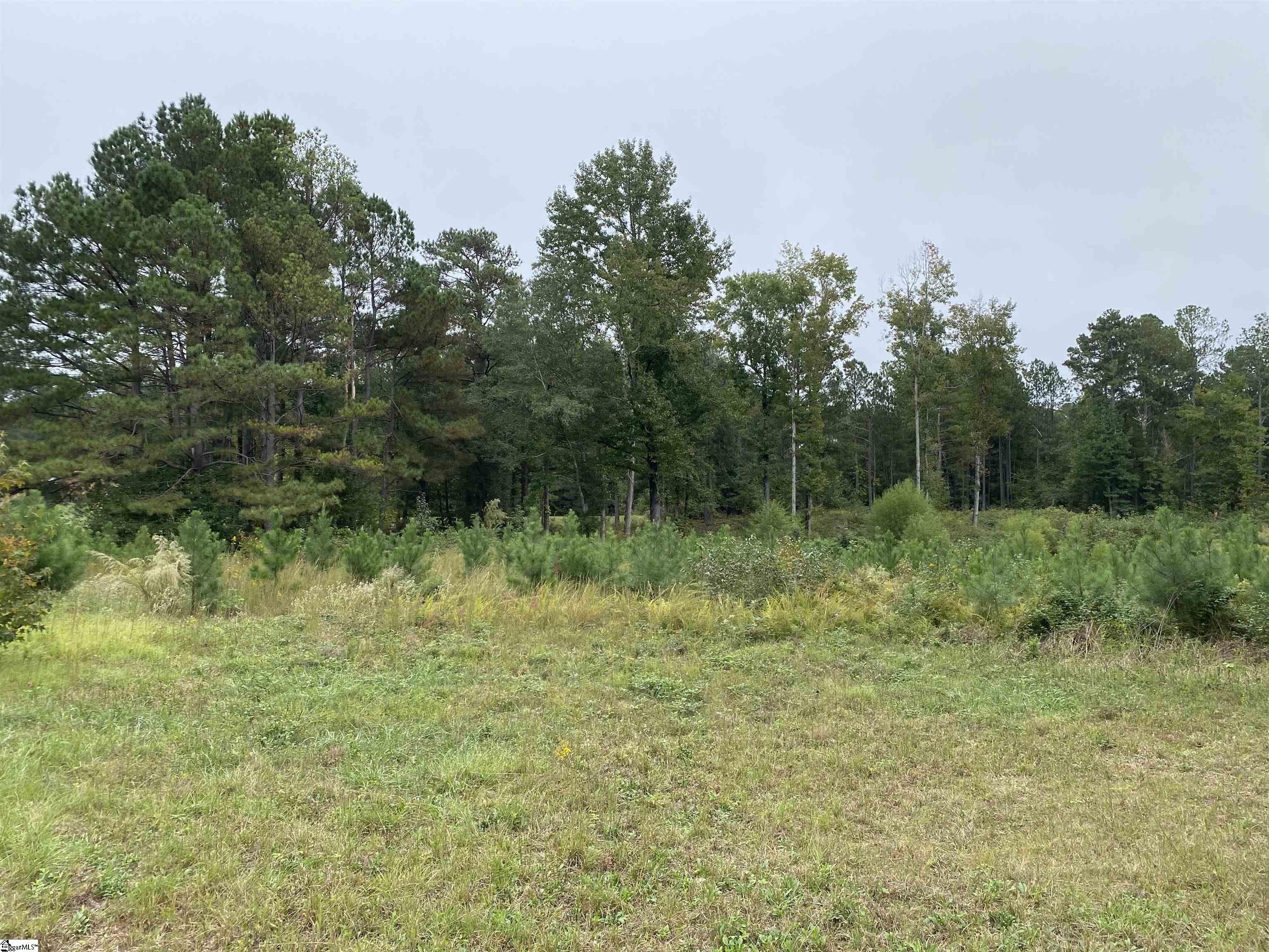 141 Pheasant Way Fountain Inn, SC 29644 - Photo 4 of 8