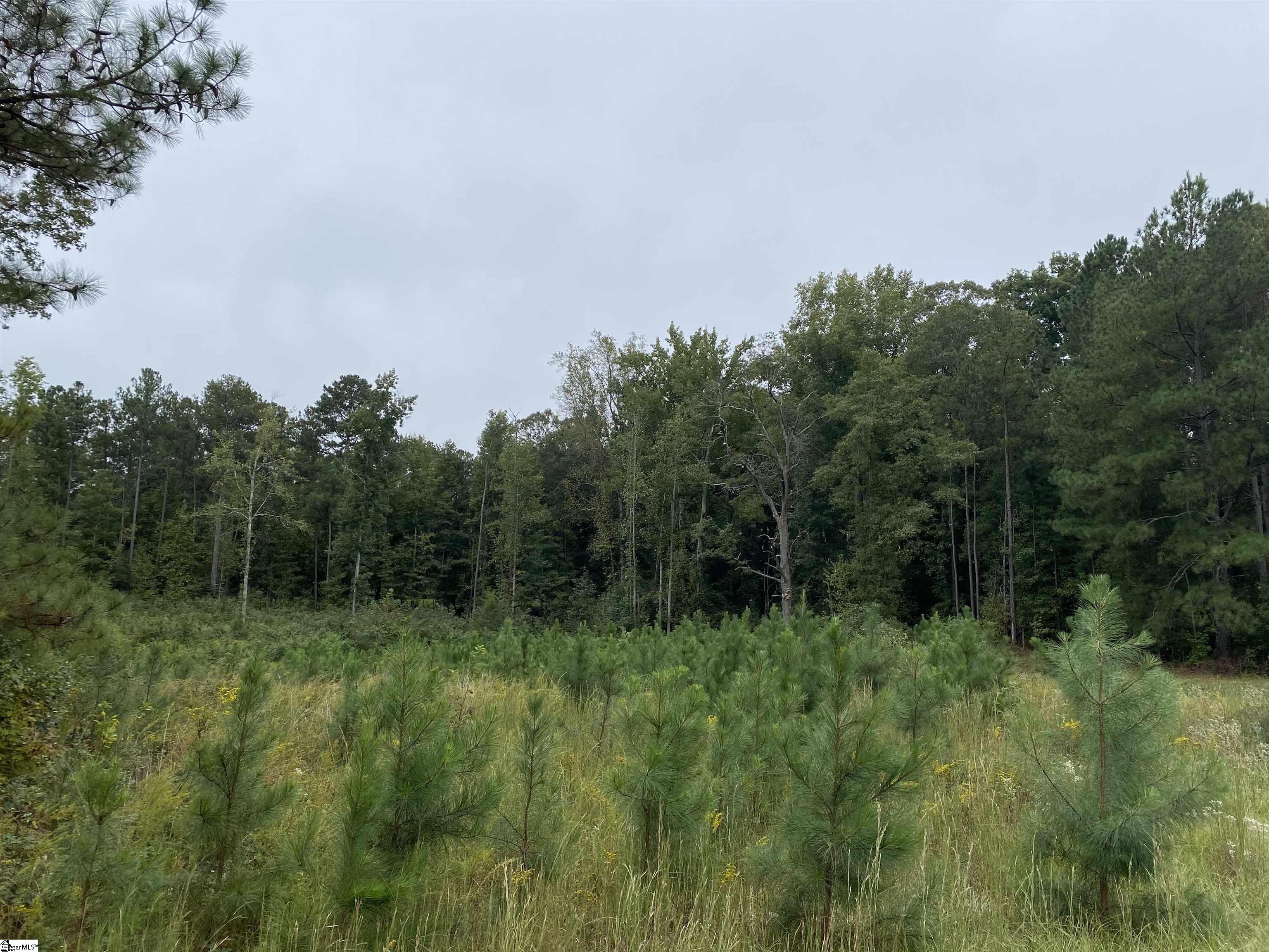 141 Pheasant Way Fountain Inn, SC 29644 - Photo 8 of 8