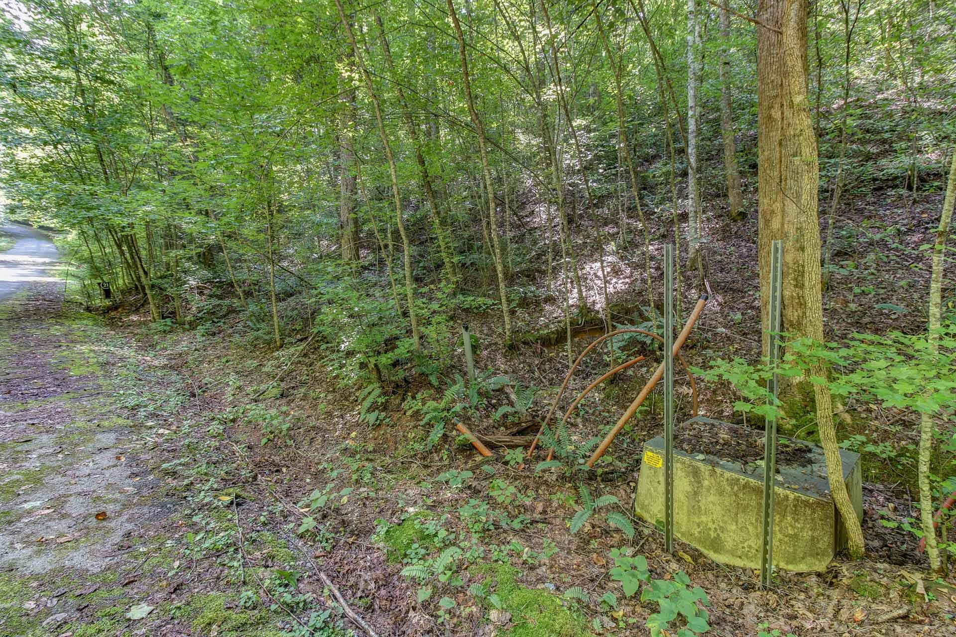 Lot 56 Riversong Way Sevierville, TN 37876 - Photo 1 of 12 07