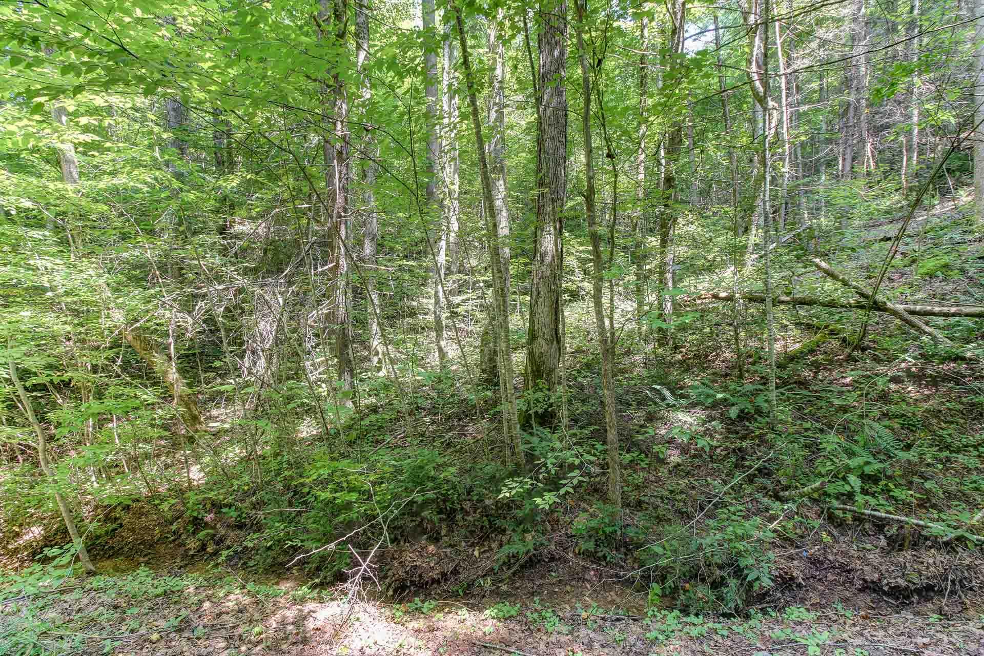 Lot 56 Riversong Way Sevierville, TN 37876 - Photo 2 of 12 01