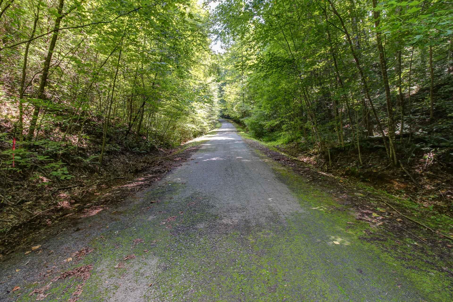 Lot 56 Riversong Way Sevierville, TN 37876 - Photo 11 of 12 10