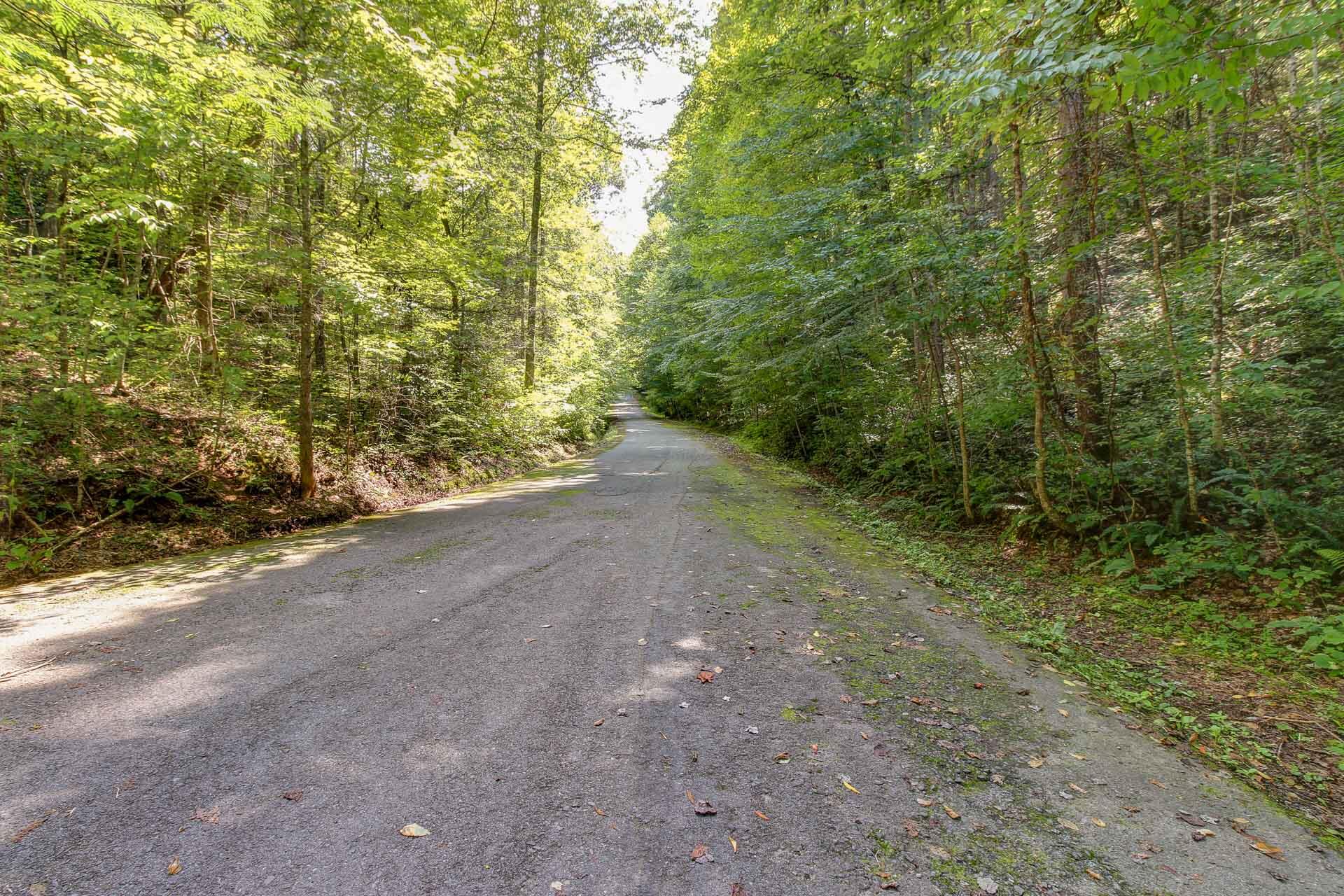 Lot 56 Riversong Way Sevierville, TN 37876 - Photo 12 of 12 11