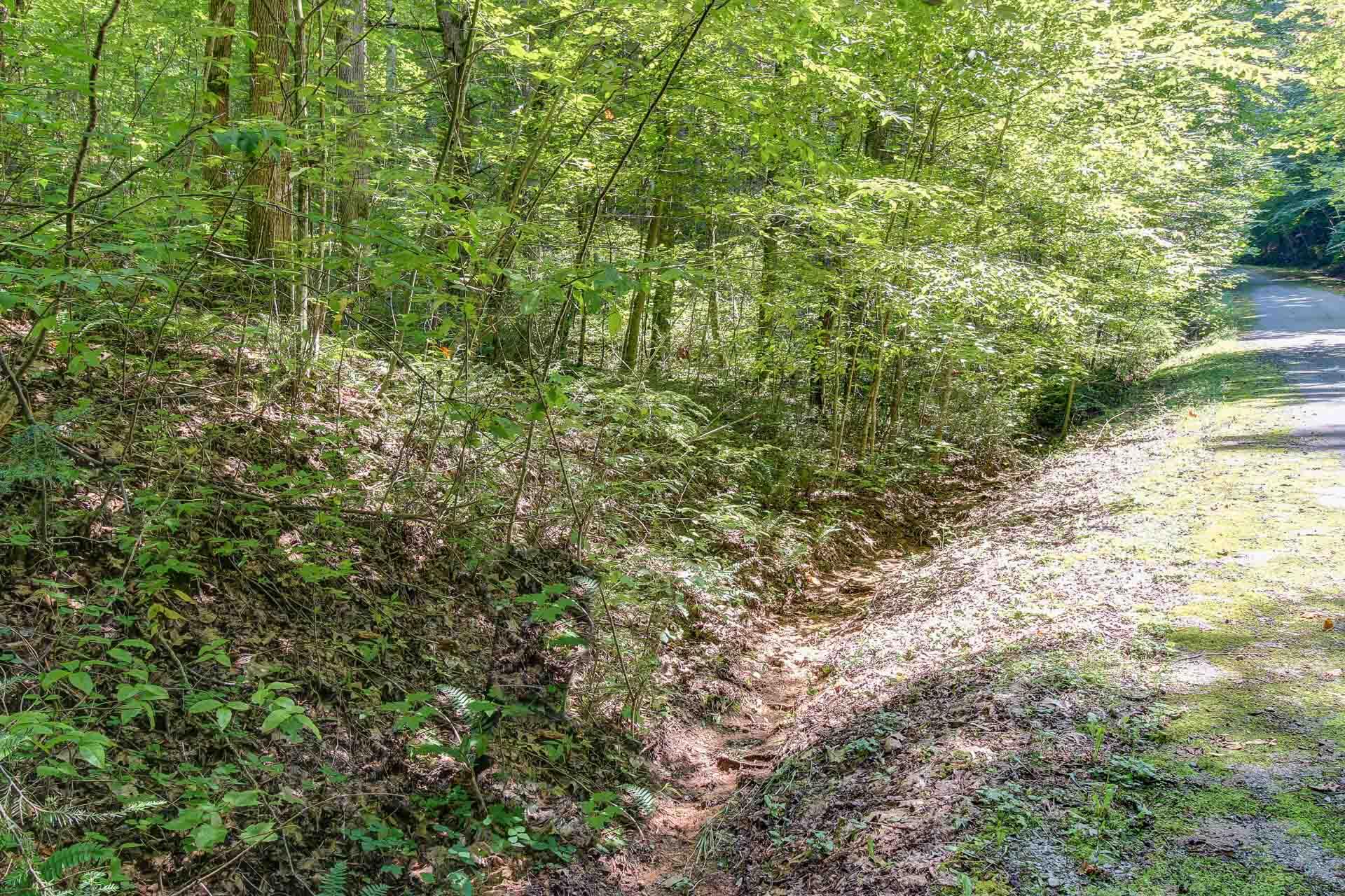 Lot 56 Riversong Way Sevierville, TN 37876 - Photo 4 of 12 03