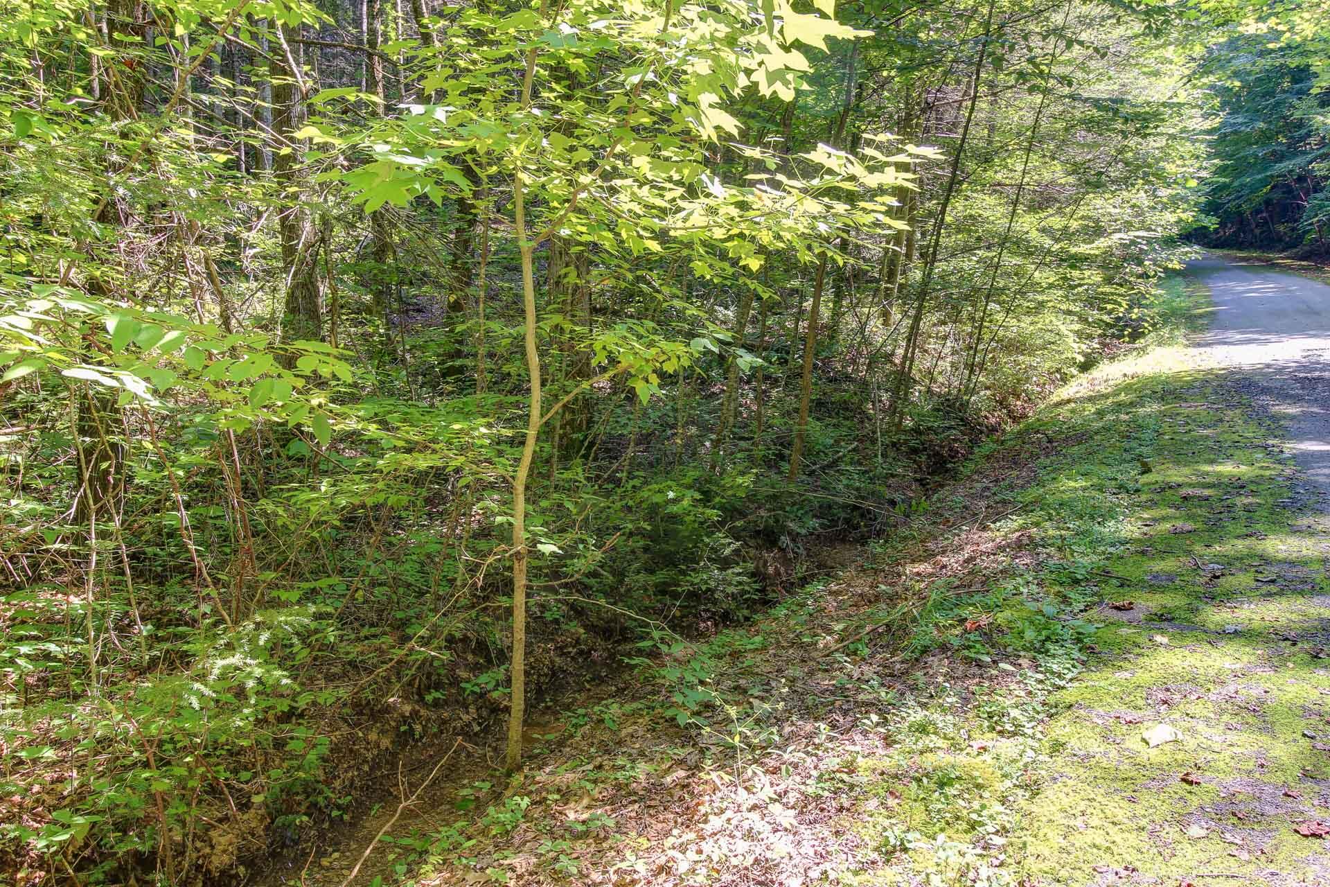 Lot 56 Riversong Way Sevierville, TN 37876 - Photo 5 of 12 04