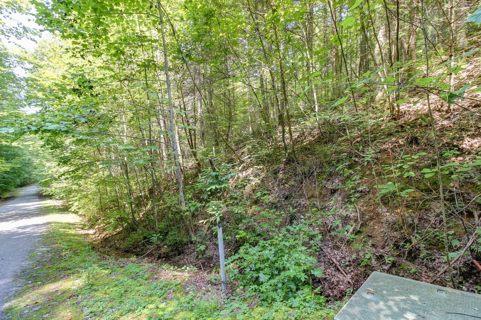 Lot 56 Riversong Way Sevierville, TN 37876 - Photo 6 of 12 05