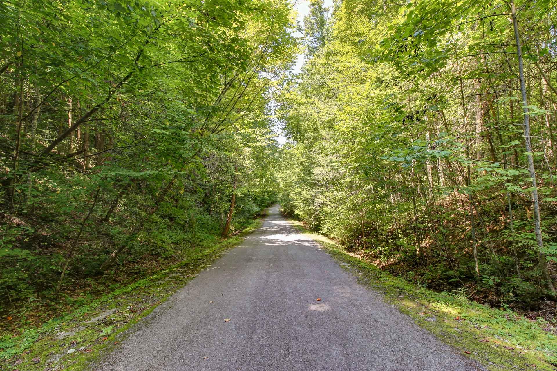Lot 56 Riversong Way Sevierville, TN 37876 - Photo 7 of 12 06
