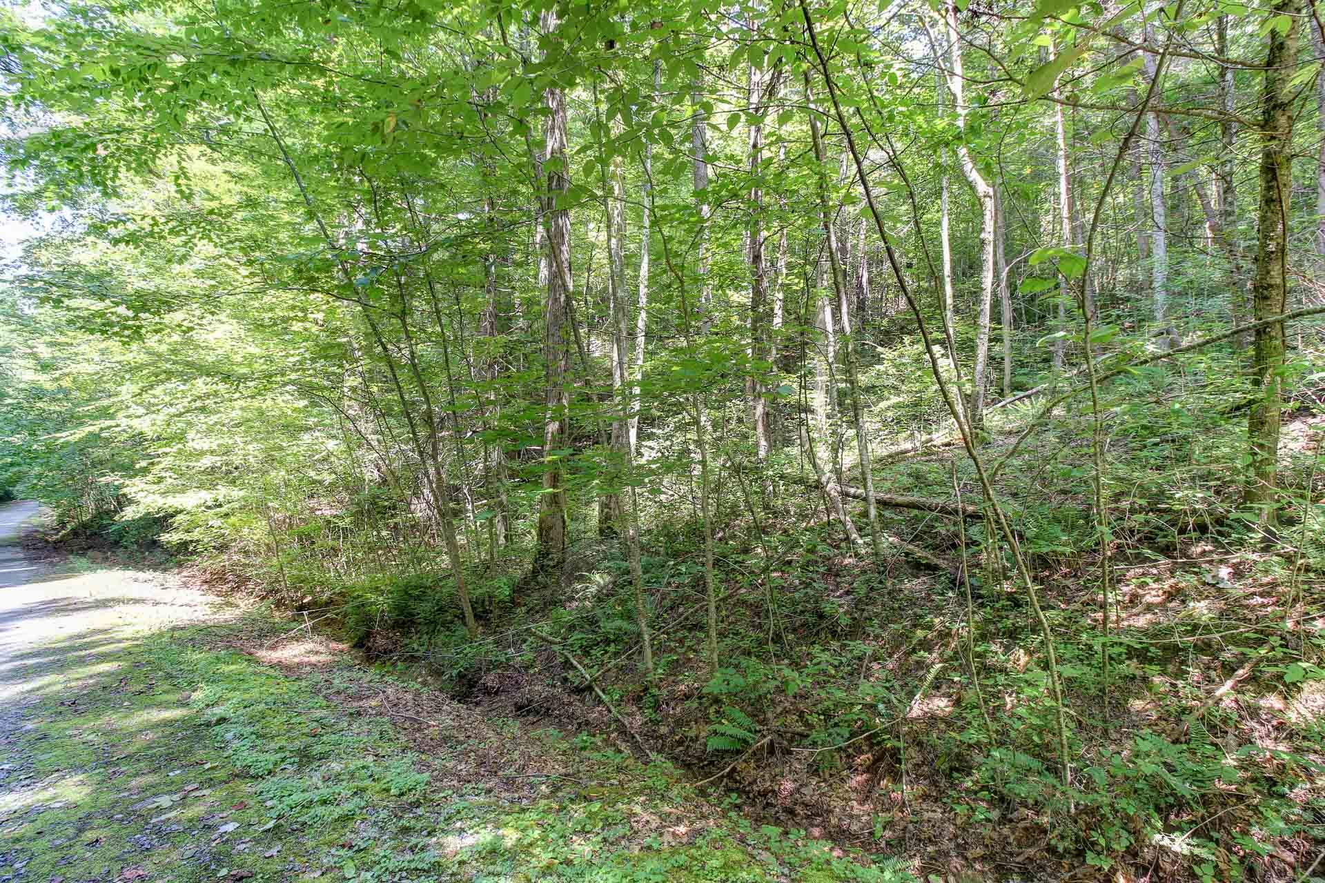 Lot 56 Riversong Way Sevierville, TN 37876 - Photo 8 of 12 07